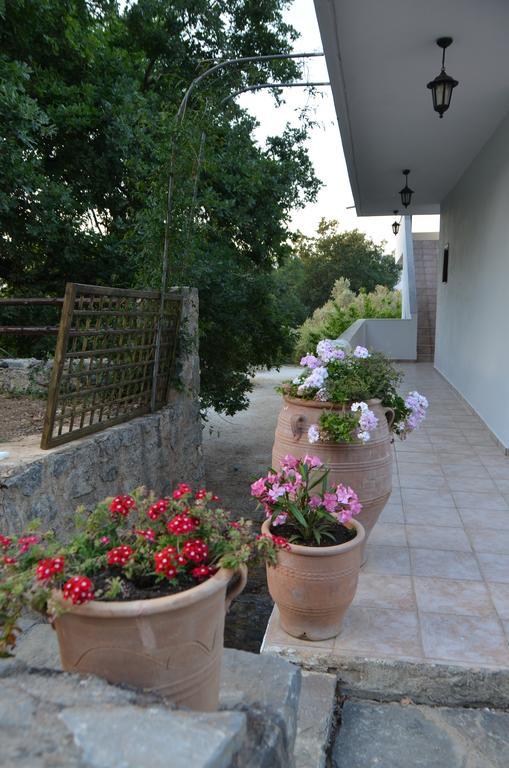 Apartment Ellinospito Axos
